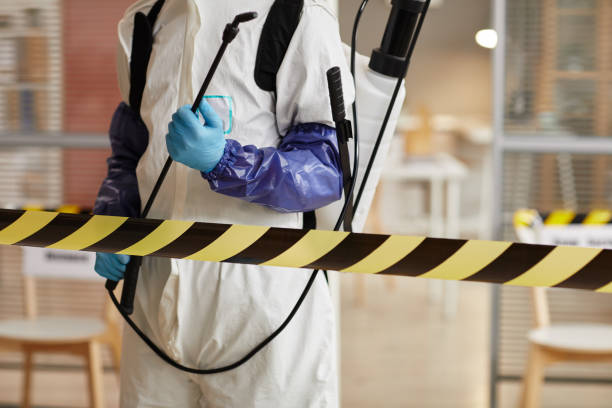 Professional Hoarding Cleanup technician working in Naples, TX